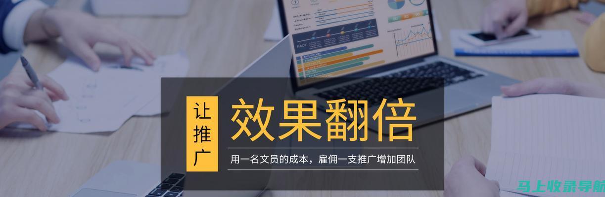 SEO效率提升秘诀：揭秘网站批量查询工具的隐藏功能